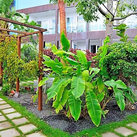 Adjovimar Otel