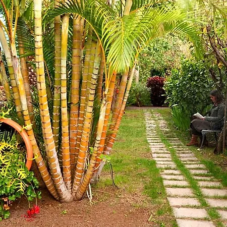 Adjovimar Los Llanos De Aridane
